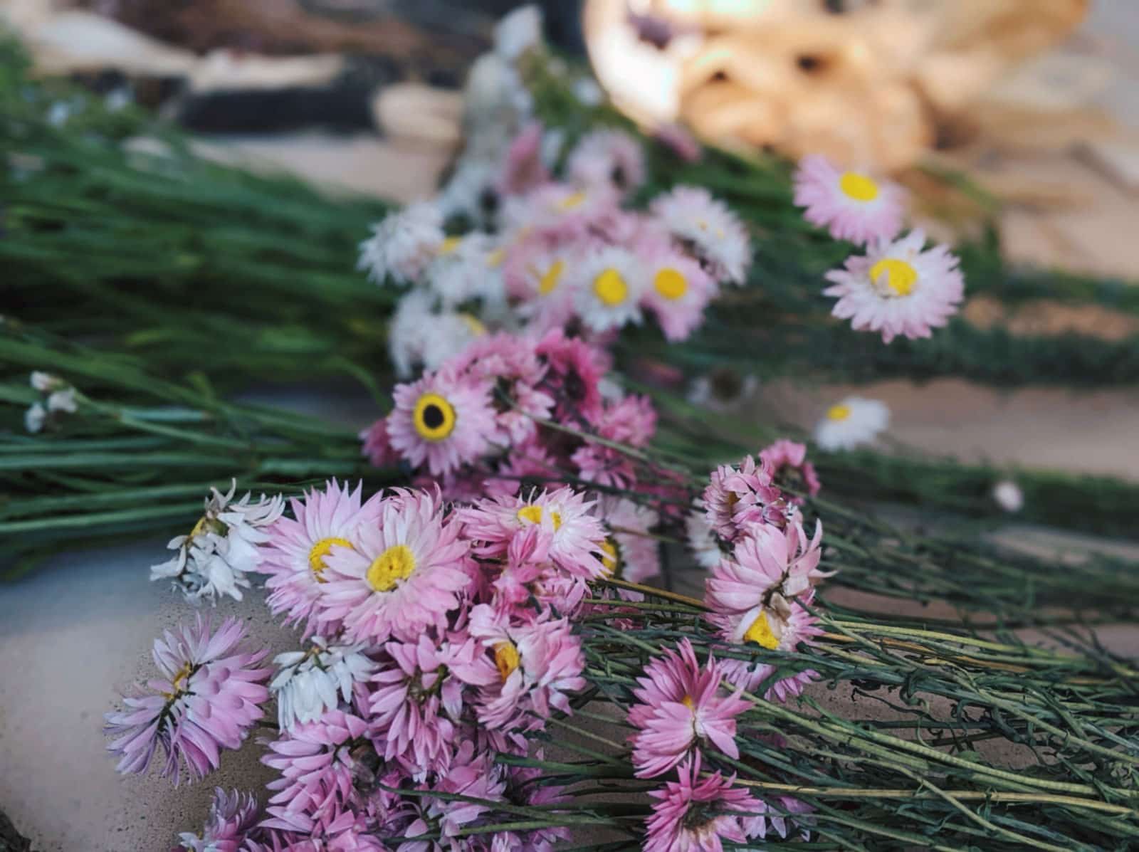 Dried flowers